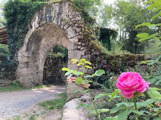 Site et jardin médiévaux de Donzy