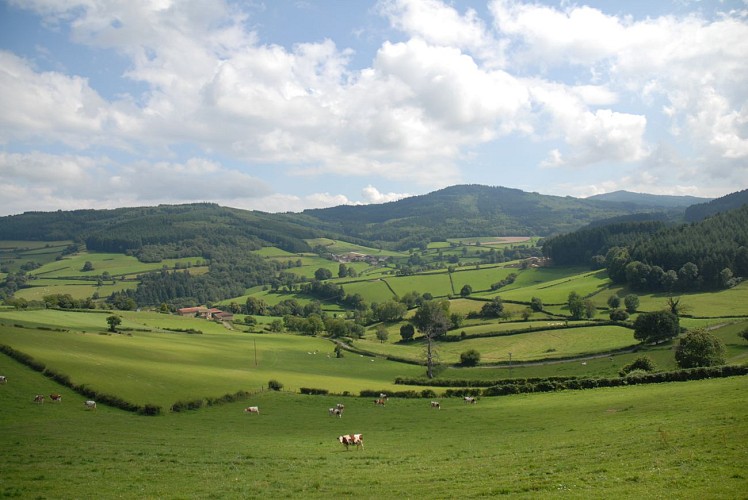 Village de St Bonnet des Bruyères