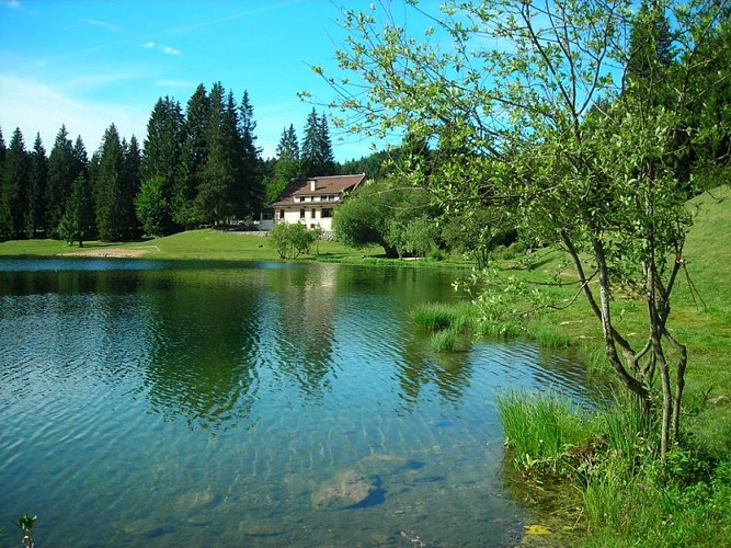 Bar de l'Auberge du Lac Genin