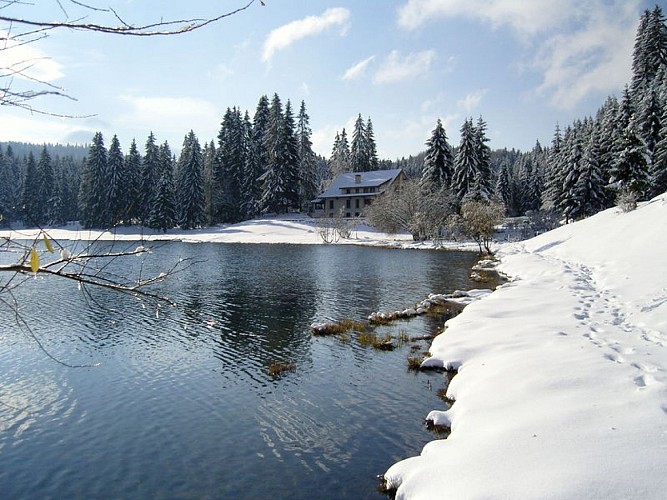 Bar de l'Auberge du Lac Genin