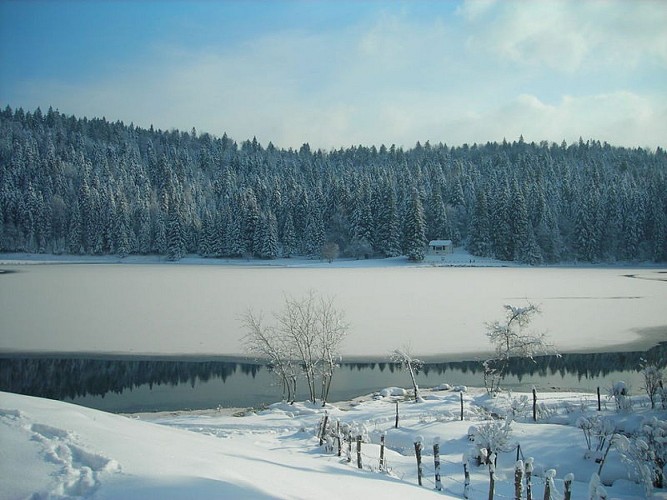 Bar de l'Auberge du Lac Genin