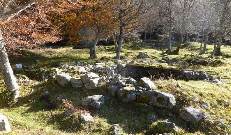 Site archéologique de Cotteughes