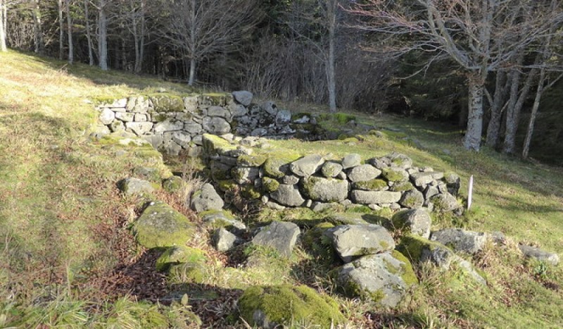 Site archéologique de Cotteughes