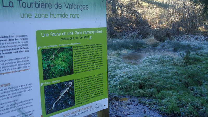 La Tourbière de Valorges