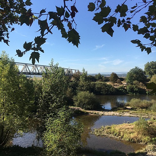 Pont de la loire