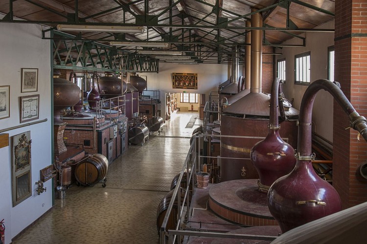 Distillerie des Moisans