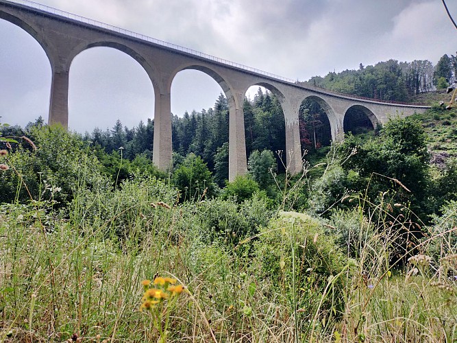 Viaduc du pont marteau