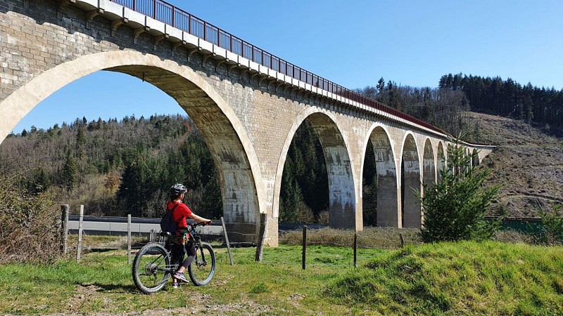 Viaduc du pont marteau