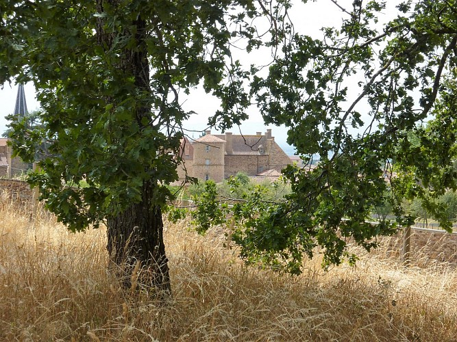 La cabane de verdure