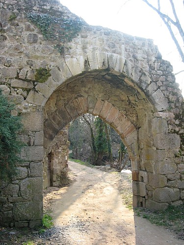 Village of Salt-en-Donzy