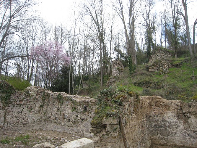 Village of Salt-en-Donzy