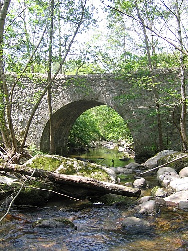 Village fleuri de Salvizinet
