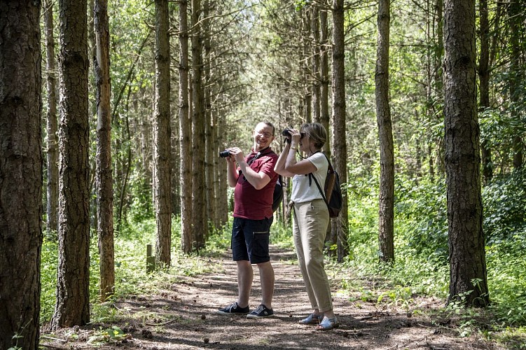 Regionaal natuurreservaat Grand-Voyeux