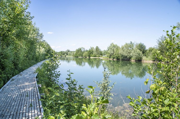 Regionaal natuurreservaat Grand-Voyeux