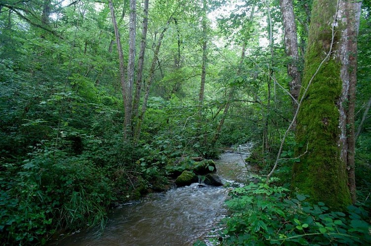 Gîte La Maison du Berger