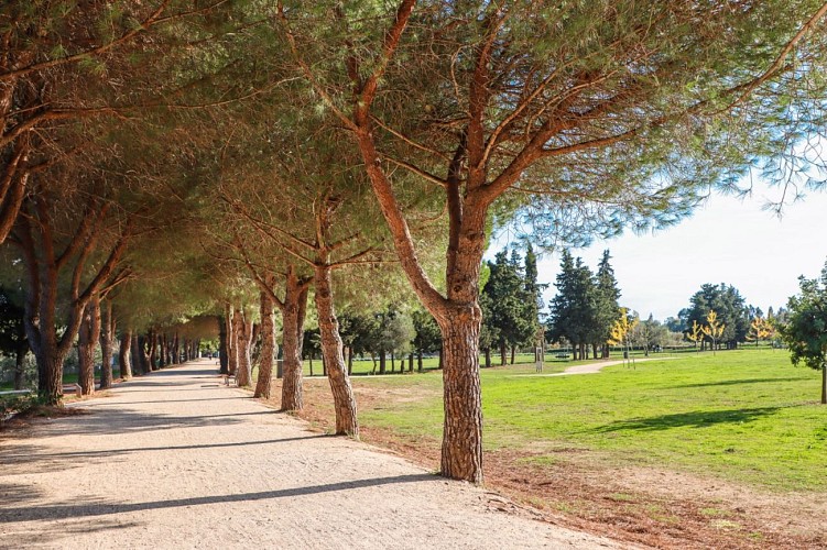 Sensitive Natural Area of La Brûlade