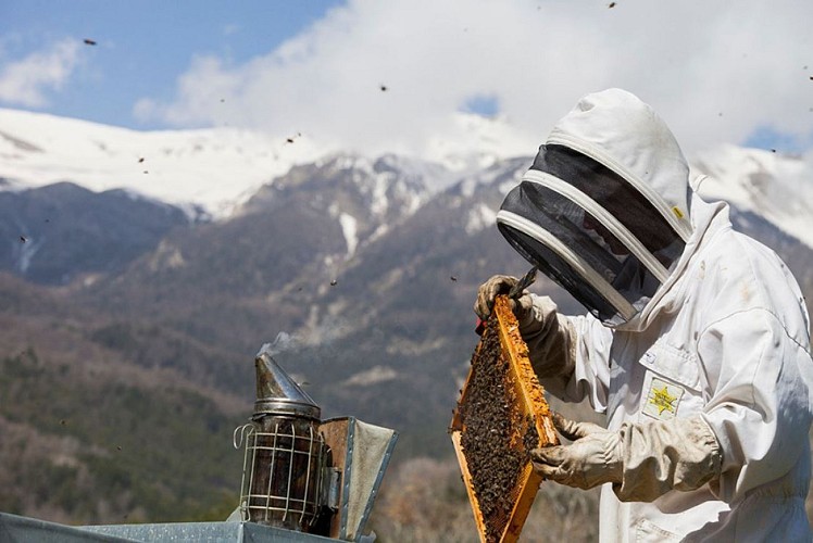 The Lautaret Workshop - Producer