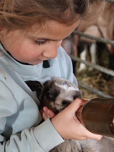 Brunet Farm - Gaec Du Lasseron