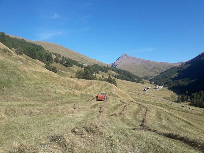 Brunet Farm - Gaec Du Lasseron