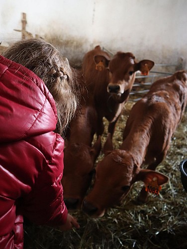 La Ferme Brunet - Gaec Du Lasseron