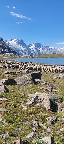 Bergerie La Coursaline