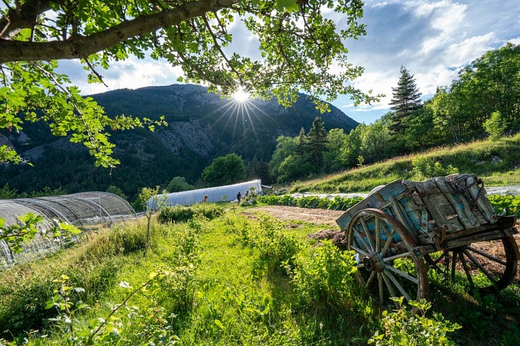 Les Jardins des terres vivantes