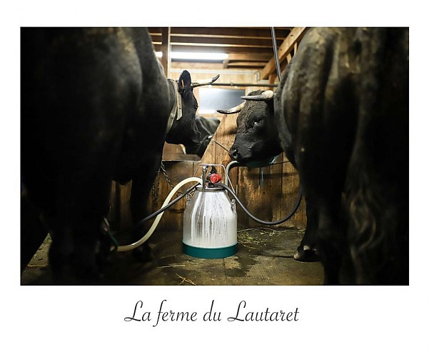 The farm du Lautaret