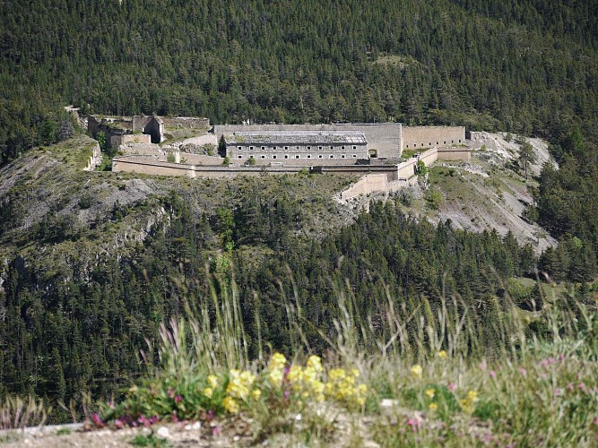 Fort Dauphin