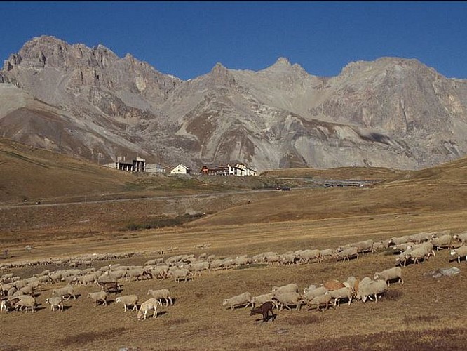 Lautaret pass - Natural Reserve of Combeynot