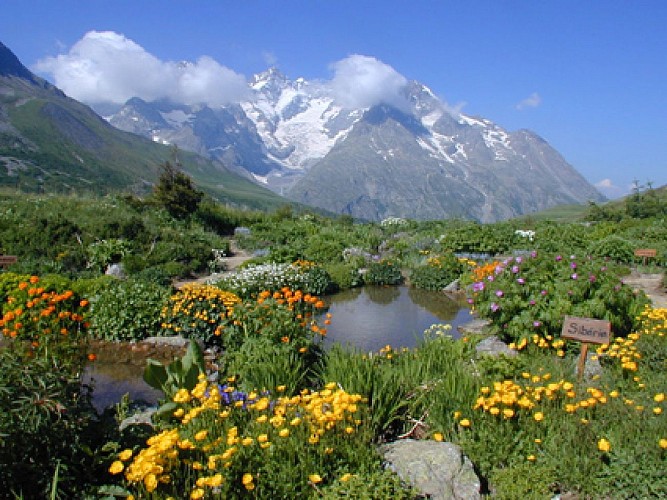 Col du Lautaret - Réserve Naturelle de Combeynot