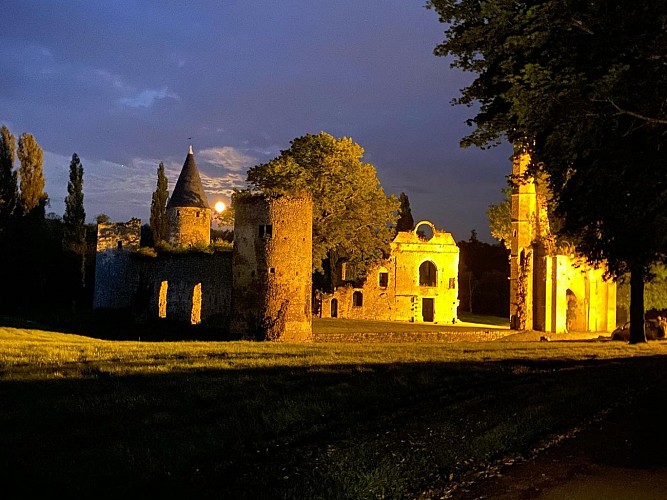 Visite guidée de groupe du Château Royal du Vivier-en-Brie