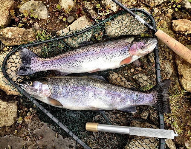 Fishing in Lac Vert