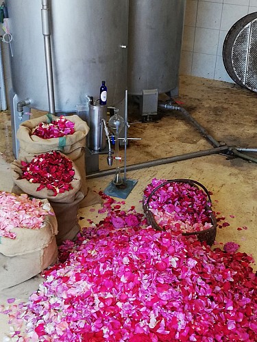 Terre de Rose Distillerie Roseraie