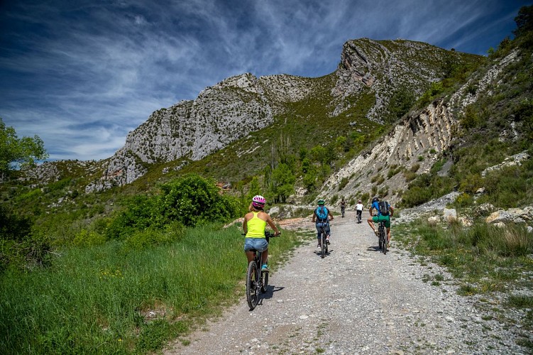 Buena Vista  location de Vtt électriques