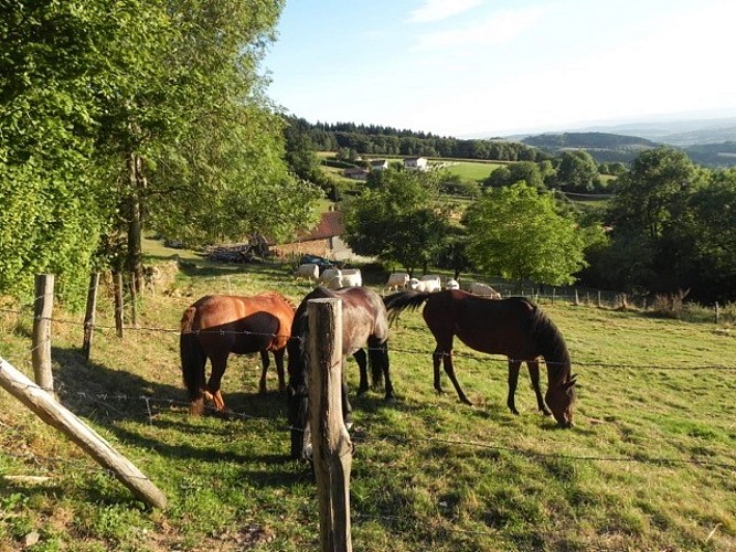 Ferme des Entremains