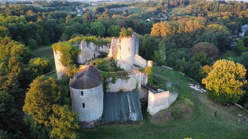 Medieval Fortress of Montaigu-le-Blin