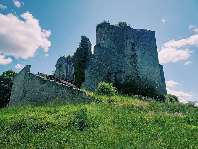 Medieval Fortress of Montaigu-le-Blin