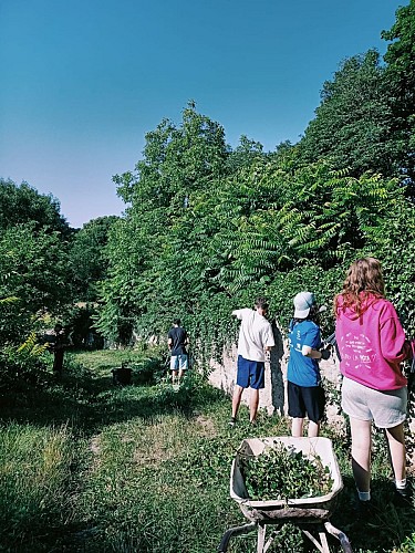 Medieval Fortress of Montaigu-le-Blin
