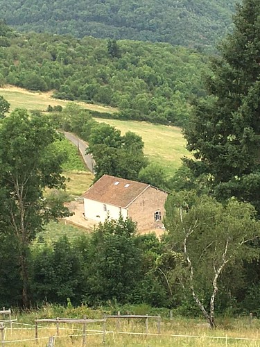 Verger Saint Vincent