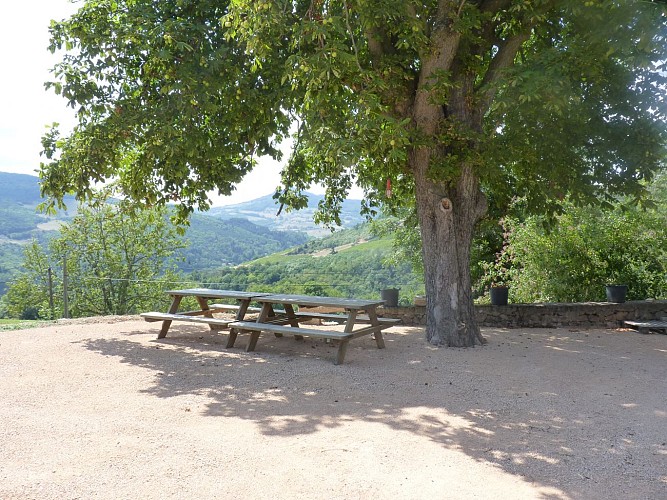 Verger Saint Vincent