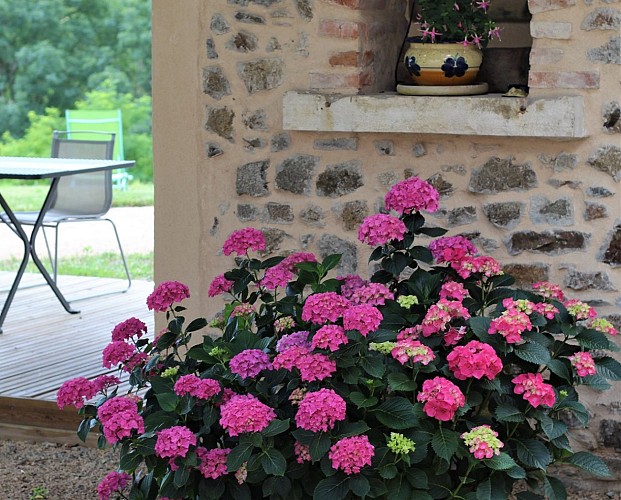 Gîte des Hortensias