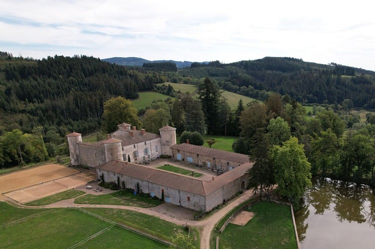 Chateau de Fougères