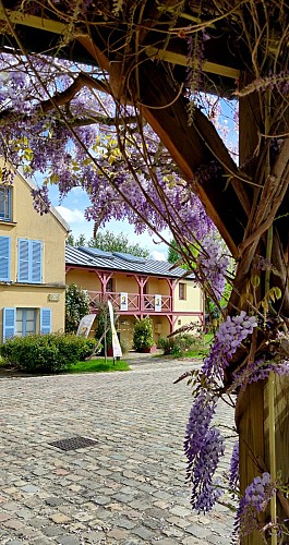 La Maison Fournaise, Renoir de meeslepende ervaring