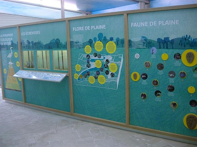 Maison Aquarium du val de Besbre: freshwater scenography