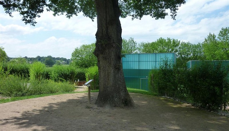 Maison Aquarium du val de Besbre : scénographie de l'eau douce