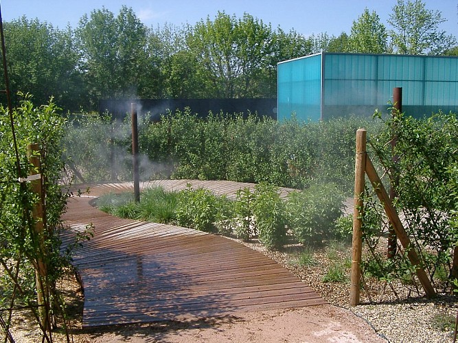 Maison Aquarium du val de Besbre : scénographie de l'eau douce