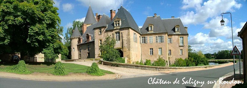 Castle of Saligny