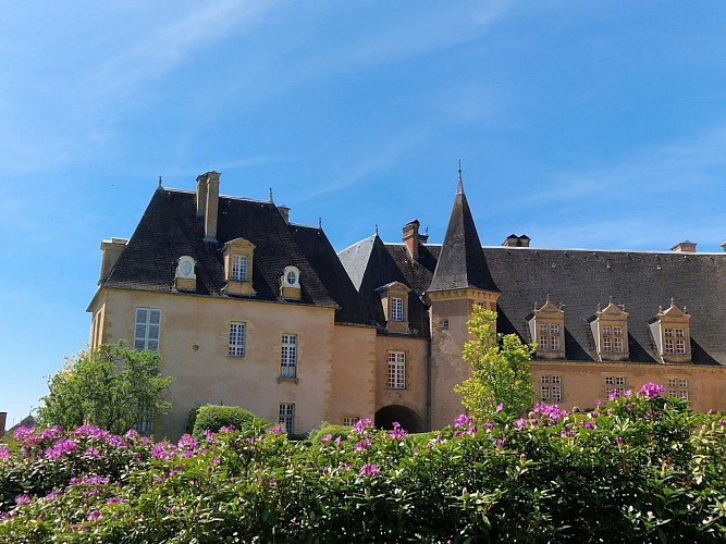 Castle of Saligny