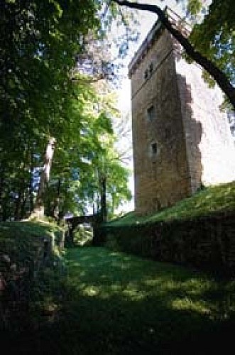 Château de Coligny-le-Viel : château du Châtaignat et sa tour de Menthon