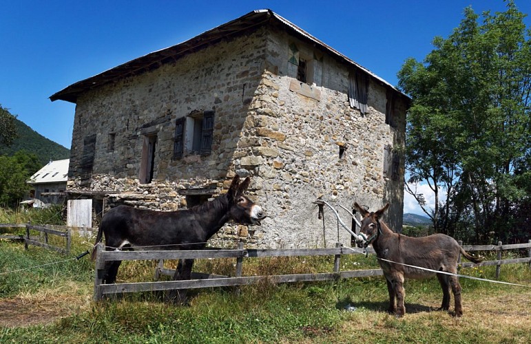 La Maison du Mulet